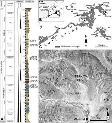 Solutan echinoderms from the Fezouata Shale Lagerstätte (Lower Ordovician, Morocco): diversity, exceptional preservation, and palaeoecological implications